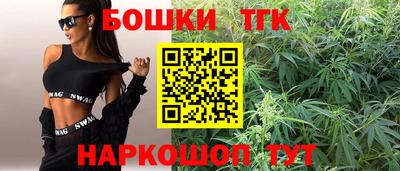 Альфа ПВП Бердск