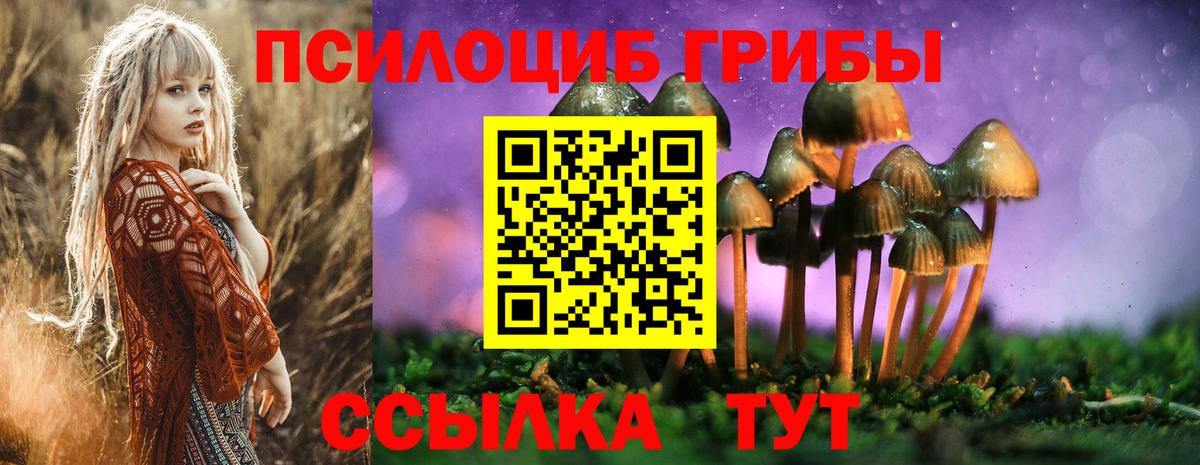 Галлюциногенные грибы мицелий Архангельск